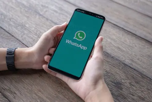 Celular / WhatsApp • Madeiras Mata Verde